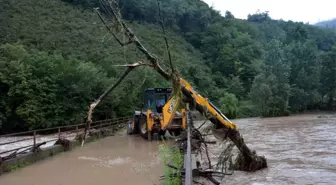 Ordu'nun dereleri taştı