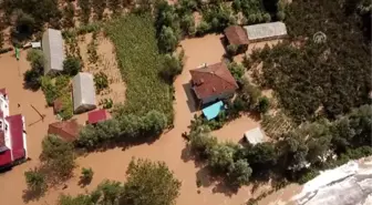 Samsun'daki sağanak sebebiyle fındık bahçeleri su altında kaldı