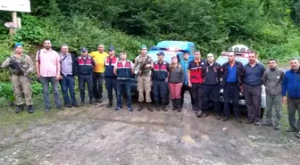 Dünyanın en yaşlı porsuk ağacını görmek için gittikleri dağlık alanda kayboldular