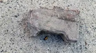Eniştesi tarafından tabancayla vuruldu
