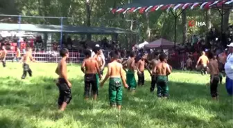 28. Geleneksel Yayla Seki Yağlı Güreşleri'ni Ali Gürbüz kazandı