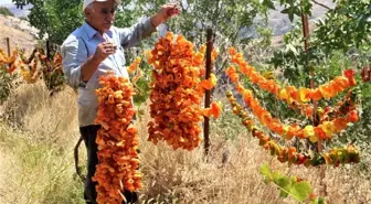 Elazığ'da kış için 'kurutmalık' mesaisi başladı