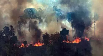 G7'den Amazon yangınları için 20 milyon euro