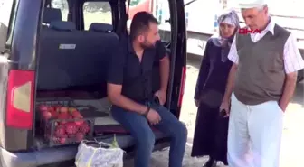 IĞDIR Doğu'nun 'Çukurova'sı bölgeyi besliyor