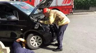 (Özel) İnatçı yavru kedi itfaiye ekiplerine zor anlar yaşattı