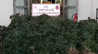 Beydağ'da uyuşturucu operasyonu