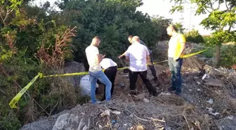 Kötü koku gelen ağaçlık alandan ceset çıktı