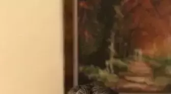 Prof. Dr. Mevlüt Özben: 'Kadın cinayetlerini sosyal medyalarda hızlıca tüketiyoruz'