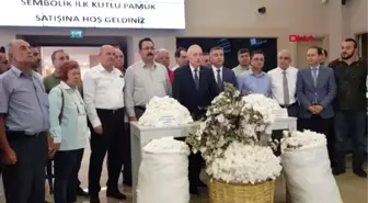 Adana'da yılın ilk kütlü pamuk satışı yapıldı