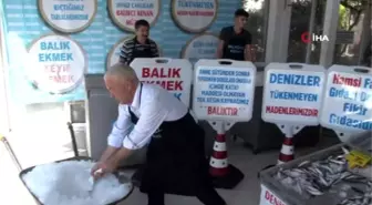 Av yasağının kalmasına sayılı günler kala balıkçılar son hazırlıklarını tamamladı