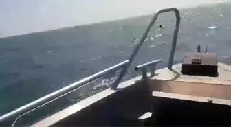 Deniz yatağında uyuyakalan kadın Azak Denizi'nde kurtarıldı