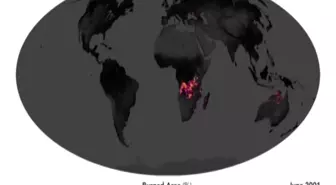 Afrika yanıyor ancak Amazonlar konuşuluyor