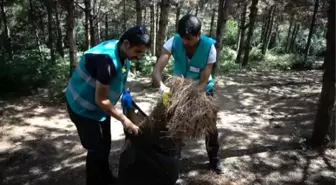 Sultangazi'de hükümlüler ormanı temizledi