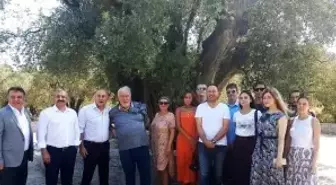 İlber Ortaylı, Kırkağaç'ta zeytinlik satın aldı