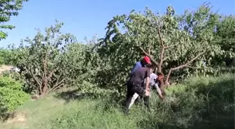 Baskil'de etkili sağanak ve fırtına (2)