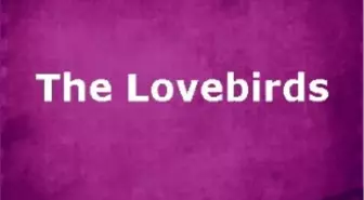 The Lovebirds Filmi