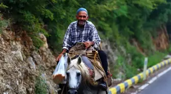 60 yıldır at üstünde elma satıyor