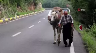 60 yıldır at üstünde elma satıyor