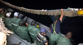 Karadenizli balıkçılar balık sezonunu açtı, denizden istavrit çıktı