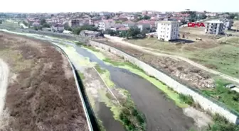 Kırklareli'de deredeki balık ölümlerine inceleme