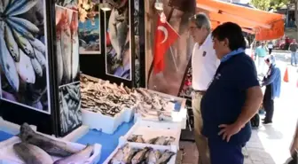 'Palamut' beklentiyi karşılamadı