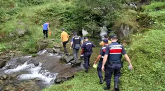 Rize'de yayla yolunda kaybolan 6 vatandaş bulundu