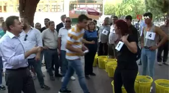 Alaşehir 2. Üzüm Festivali'nde eğlenceli görüntüler