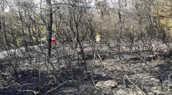 Aliağa'da çıkan orman yangını 2 saatte söndürüldü