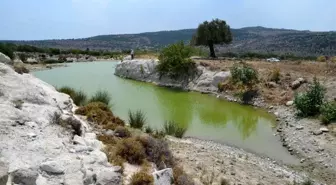 Aliağa, zengin su kaynaklarıyla dikkat çekiyor