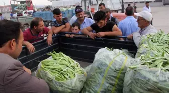 Fasulye piyasası altın çağını yaşıyor