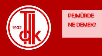 Pejmürde ne demek? Pejmürde TDK anlamı