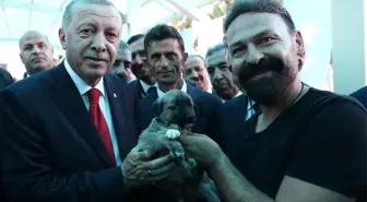 Cumhurbaşkanı Erdoğan'a Kangal yavrusu hediye edildi