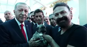 Cumhurbaşkanı Erdoğan'a Kangal yavrusu hediye edildi