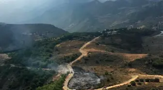 Hatay'da orman yangını