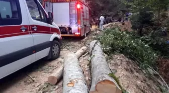 Hatay'da traktör devrildi: 1 ölü