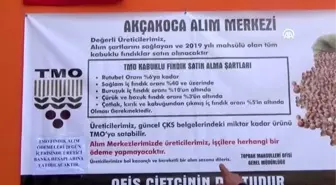 Fındık üreticileri TMO'dan memnun