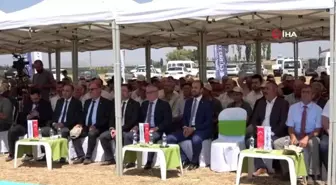 Gübretaş, Niğde'de hasat günü etkinliği düzenledi