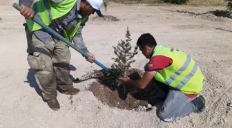 Türkiye'nin geleceği minik fidanlar için Nevşehir Belediyesi'nden Bin 790 Fidan