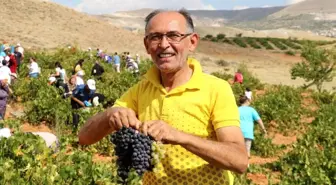 Ürgüp'te Bağ Bozumu Festivali devam ediyor