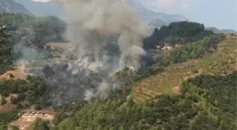 Antalya'da ormanlık alanda yangın