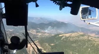 Hatay'da orman yangını