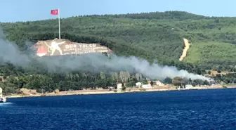 Çanakkale'de orman yangını