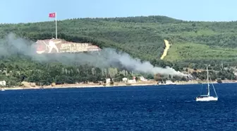 Çanakkale'de orman yangını söndürüldü
