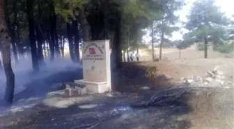 Eski mezarlıkta çıkan yangında ağaç ve mezarlar zarar gördü