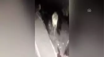 Güvenlik kamerasına içki şişesi fırlatan kişi gözaltına alındı
