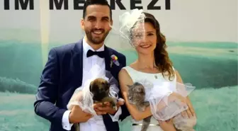 Hayvansever çift, barınakta evlendi