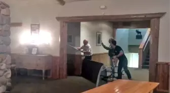 Kadınlar tuvaletine giren davetsiz misafir, büyük paniğe neden oldu