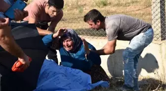 Kazada kayınpederini kaybeden gelinin feryadı