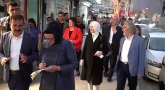 Kültür ve Sanat Politikaları Kurulu üyeleri çarşı merkezini gezdi, vatandaşlarla sohbet etti
