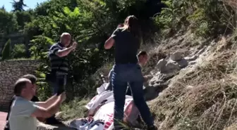 Sit alanına izinsiz konulan aslan heykeli müzeye götürüldü